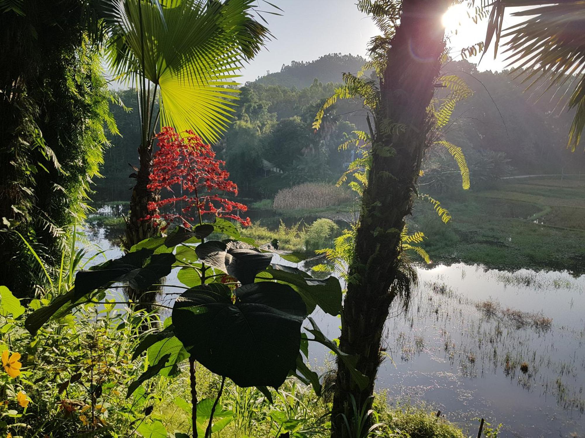 Vu Linh Palm House Homestay - Bungalow Yen Bai المظهر الخارجي الصورة