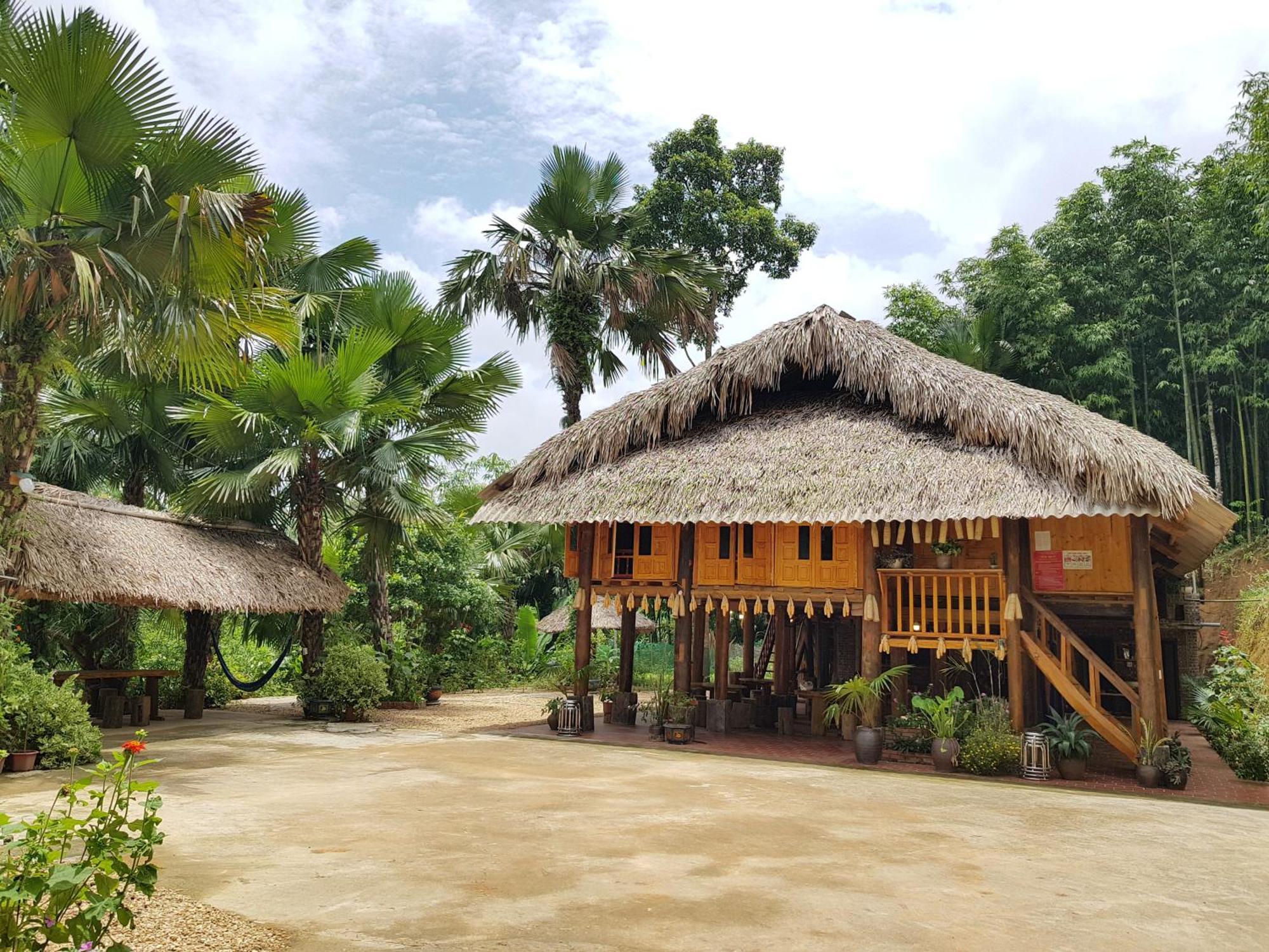 Vu Linh Palm House Homestay - Bungalow Yen Bai المظهر الخارجي الصورة