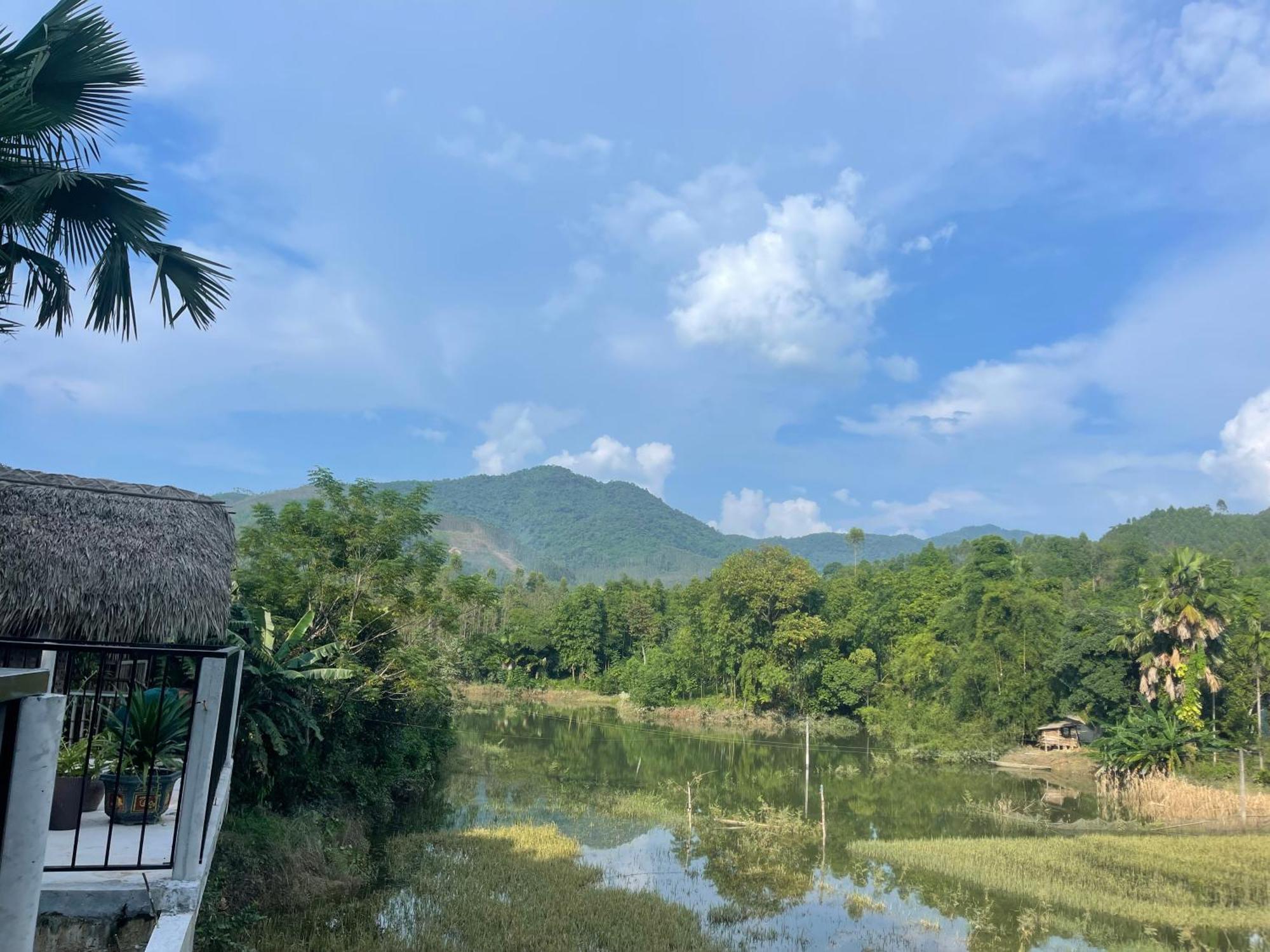 Vu Linh Palm House Homestay - Bungalow Yen Bai المظهر الخارجي الصورة